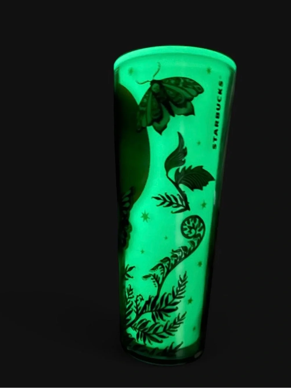 New Starbucks 2025 Halloween Night Moth & Moon Glow-in-the-Dark Venti Cold Cup